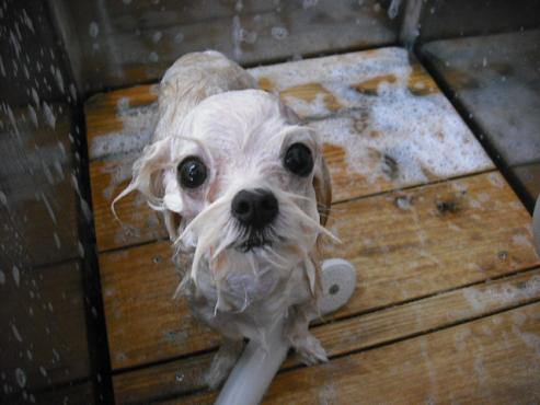 ファイル 1278-2.jpg