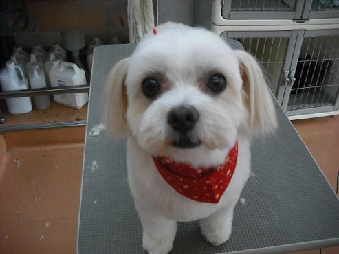 ファイル 1279-1.jpg