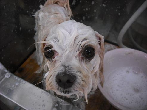 ファイル 1279-2.jpg