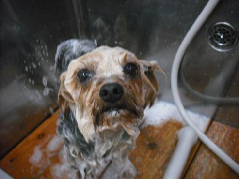 ファイル 128-2.jpg