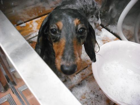 ファイル 1280-2.jpg