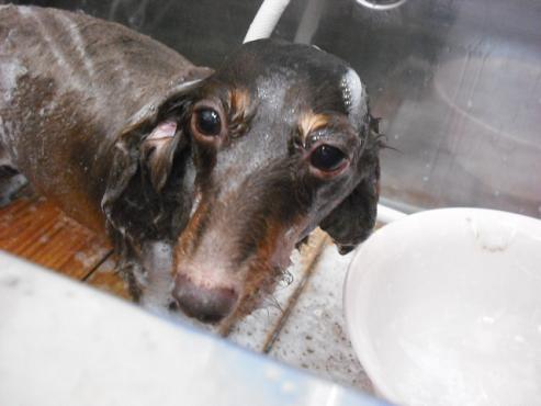 ファイル 1281-2.jpg