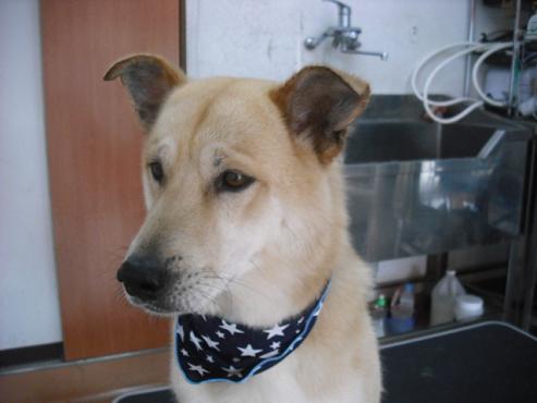 ファイル 1282-2.jpg