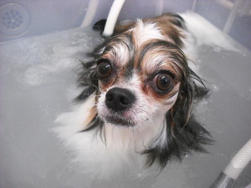 ファイル 1283-2.jpg