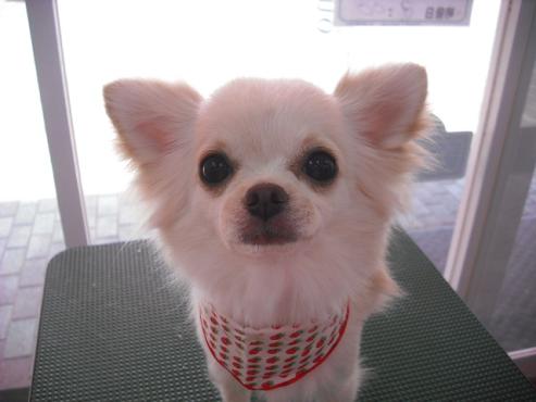 ファイル 1284-1.jpg