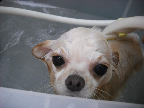 ファイル 1284-2.jpg