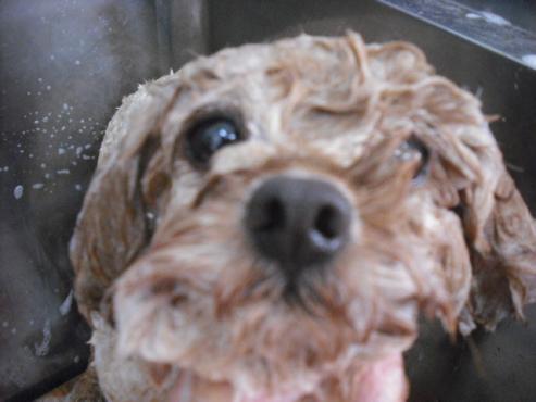 ファイル 1285-2.jpg