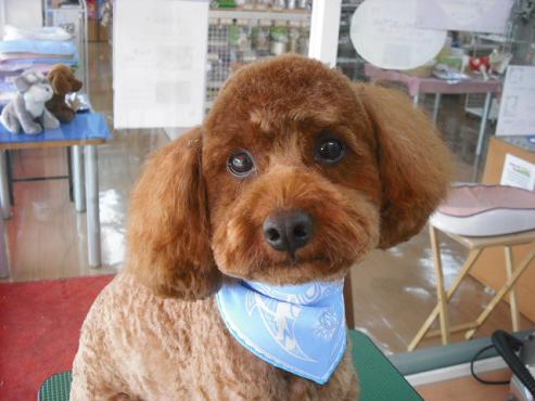 ファイル 1286-1.jpg