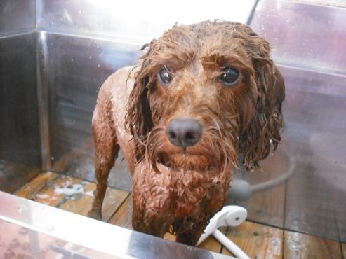 ファイル 1286-2.jpg