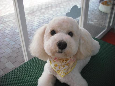 ファイル 1288-1.jpg