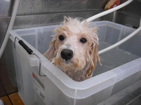 ファイル 1288-2.jpg