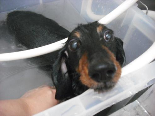 ファイル 1289-2.jpg