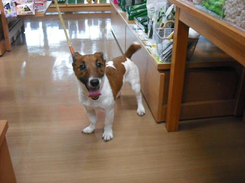 ファイル 129-1.jpg