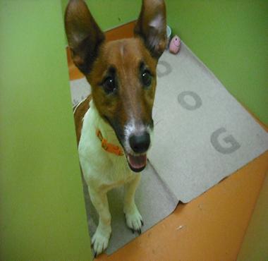 ファイル 129-2.jpg