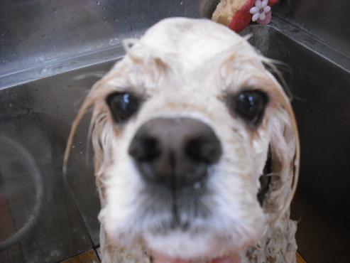 ファイル 1290-2.jpg