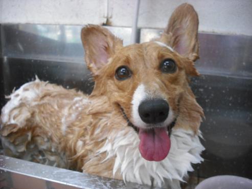 ファイル 1292-2.jpg