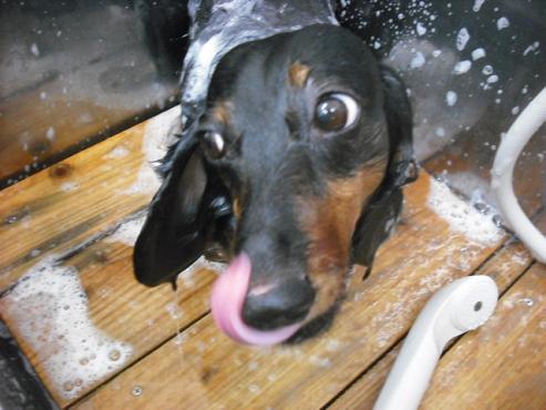 ファイル 1293-2.jpg