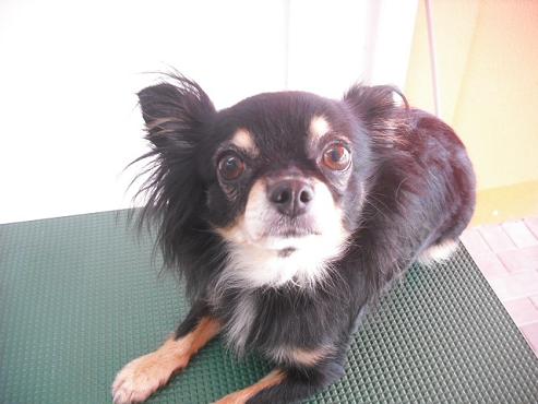 ファイル 1295-2.jpg