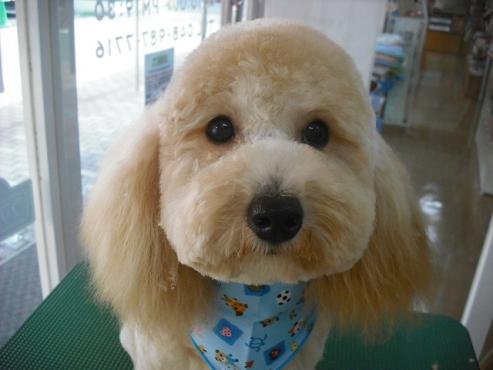 ファイル 1296-1.jpg