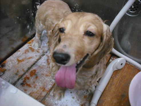 ファイル 1297-2.jpg