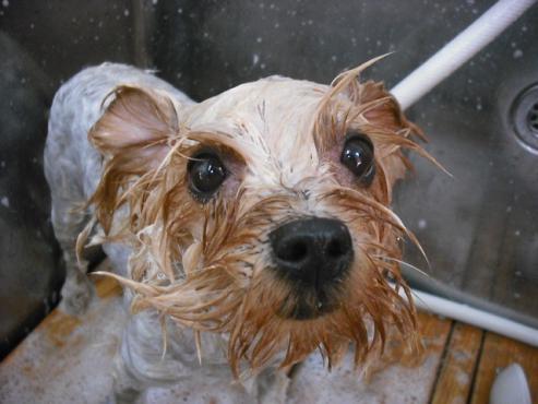 ファイル 1298-2.jpg