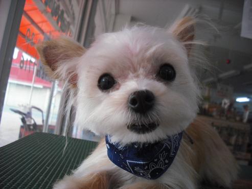 ファイル 13-1.jpg