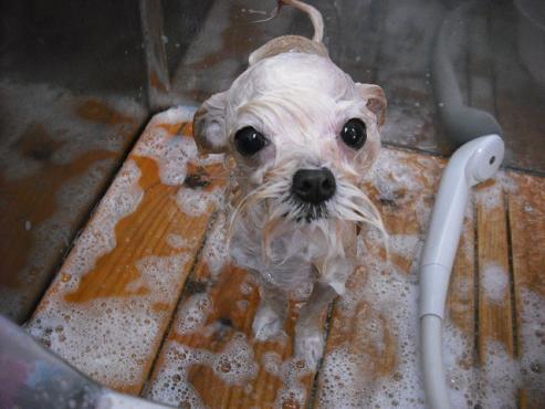 ファイル 13-2.jpg