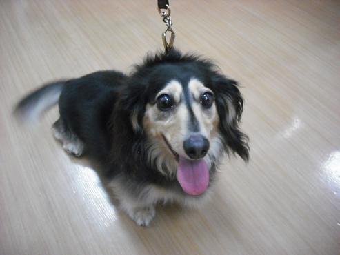 ファイル 130-1.jpg