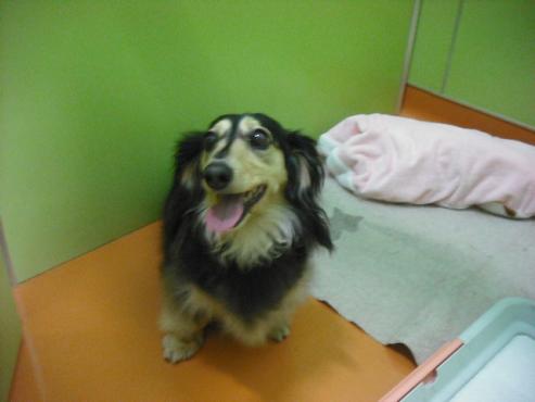 ファイル 130-2.jpg