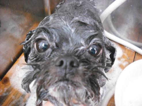 ファイル 1300-2.jpg