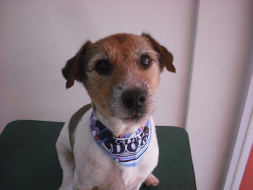 ファイル 1301-1.jpg