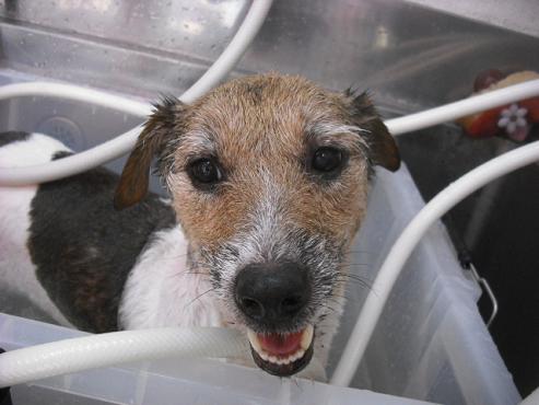 ファイル 1301-2.jpg