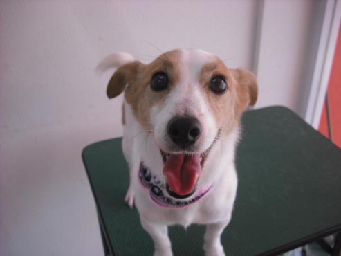 ファイル 1302-1.jpg