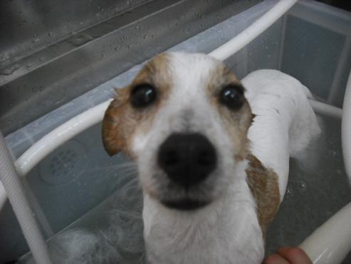 ファイル 1302-2.jpg