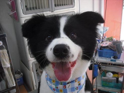 ファイル 1303-1.jpg