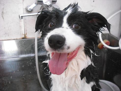 ファイル 1303-2.jpg