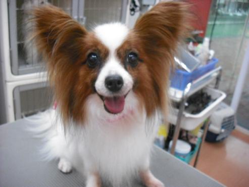 ファイル 1308-1.jpg