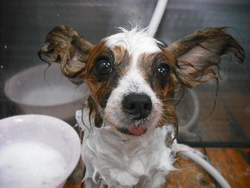 ファイル 1308-2.jpg