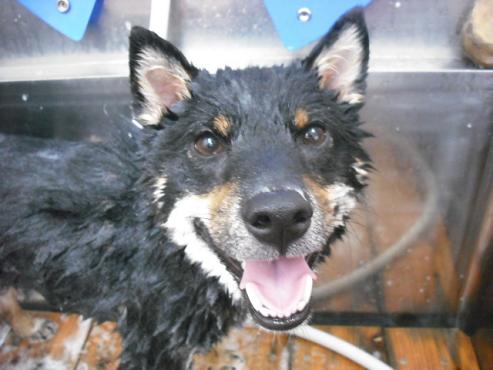 ファイル 1311-2.jpg