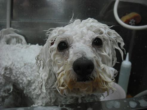 ファイル 1312-2.jpg