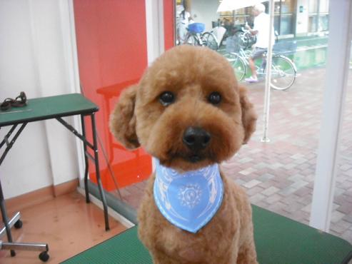 ファイル 1313-1.jpg