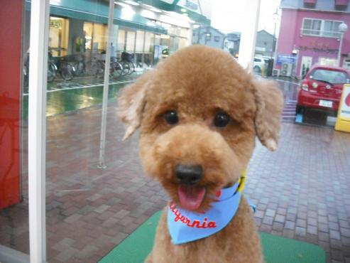 ファイル 1314-1.jpg