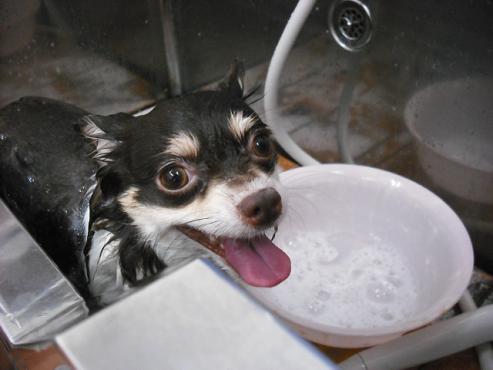 ファイル 1315-2.jpg