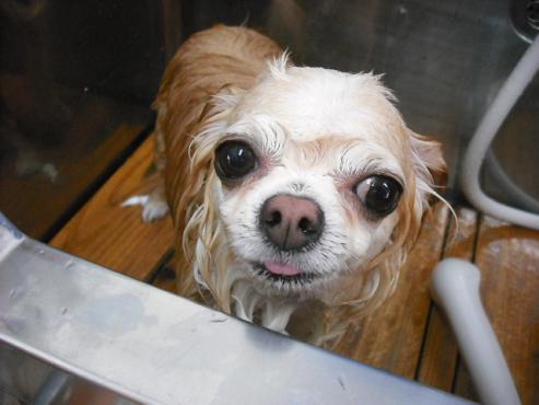 ファイル 1316-2.jpg