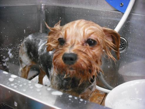 ファイル 1317-2.jpg