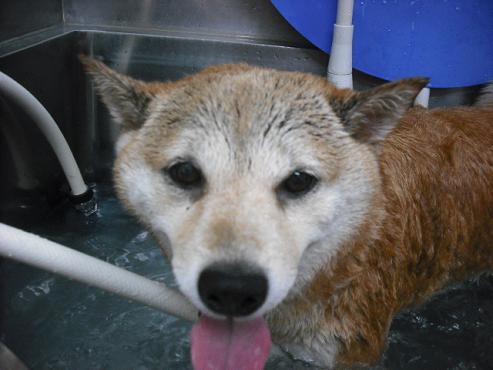 ファイル 1318-2.jpg