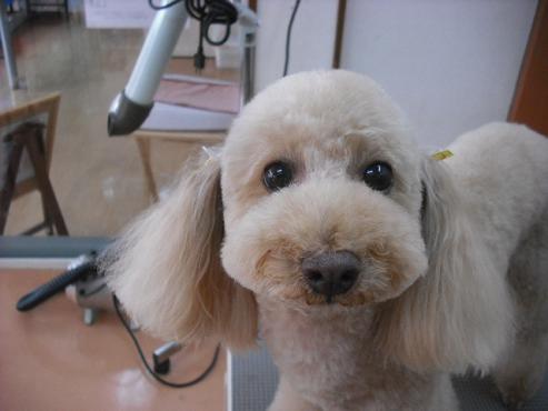 ファイル 1319-1.jpg