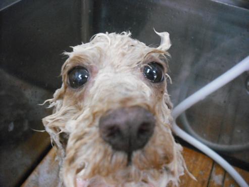 ファイル 1319-2.jpg