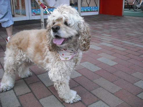 ファイル 132-2.jpg