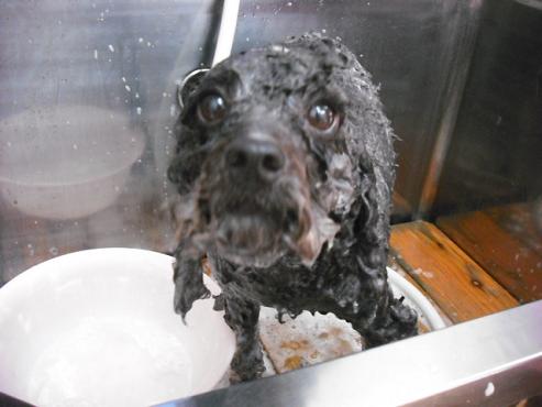 ファイル 1320-2.jpg